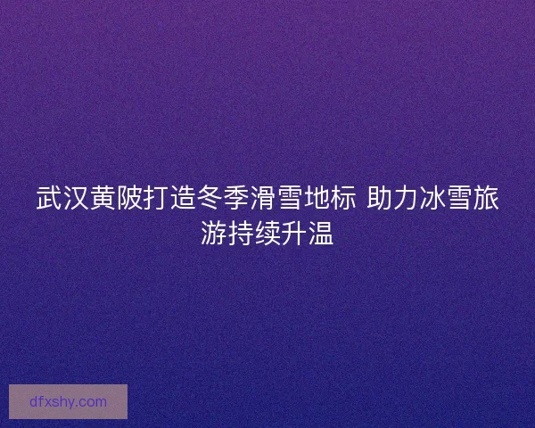 武汉黄陂打造冬季滑雪地标 助力冰雪旅游持续升温